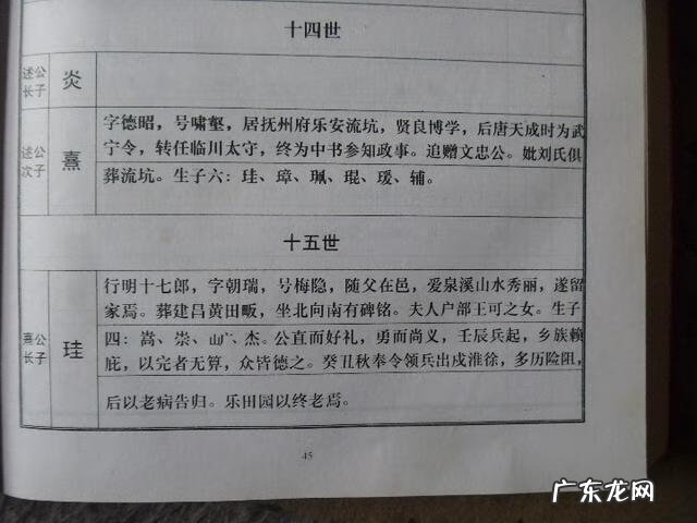 韦氏天星风水培训教材资料 韦氏天星风水神台