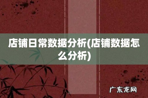 店铺数据怎么分析 店铺日常数据分析