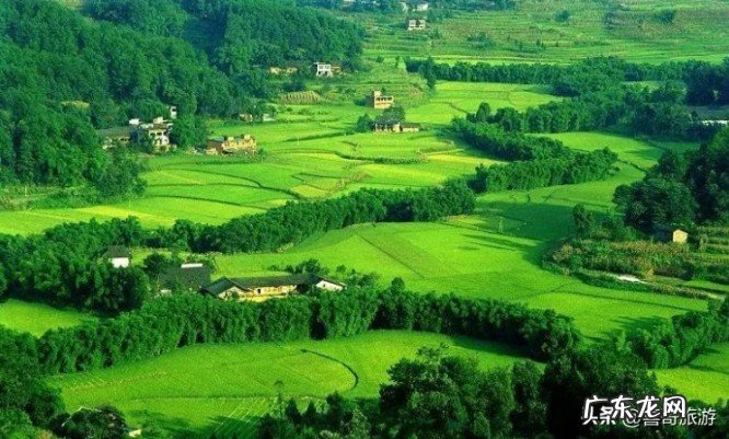 涪陵区属于哪个市?涪陵区下辖14个镇介绍