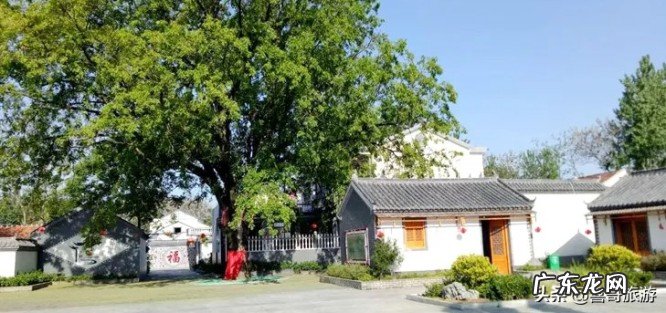 安徽谯城区属于哪个市?谯城区下辖镇一览