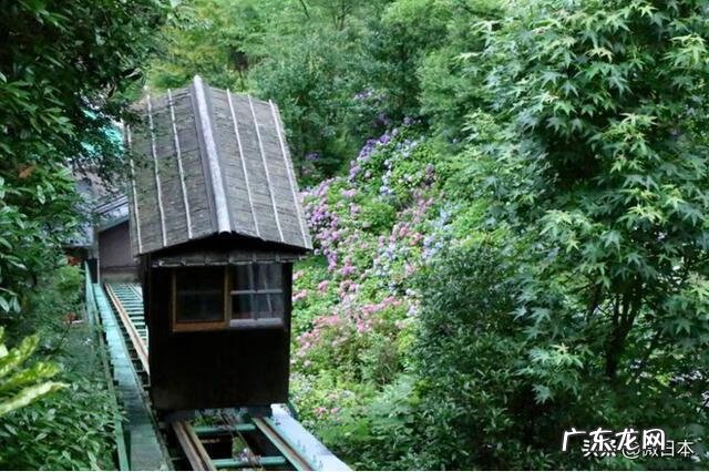 明师风水出名人 明海讲风水全集