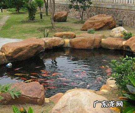 家里有鱼池风水好不好 鱼池的风水好不好怎么看