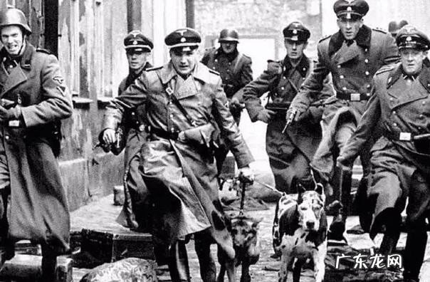 犹太人被纳粹灭族的原因是什么？犹太人做了什么让德国人深恶痛绝？