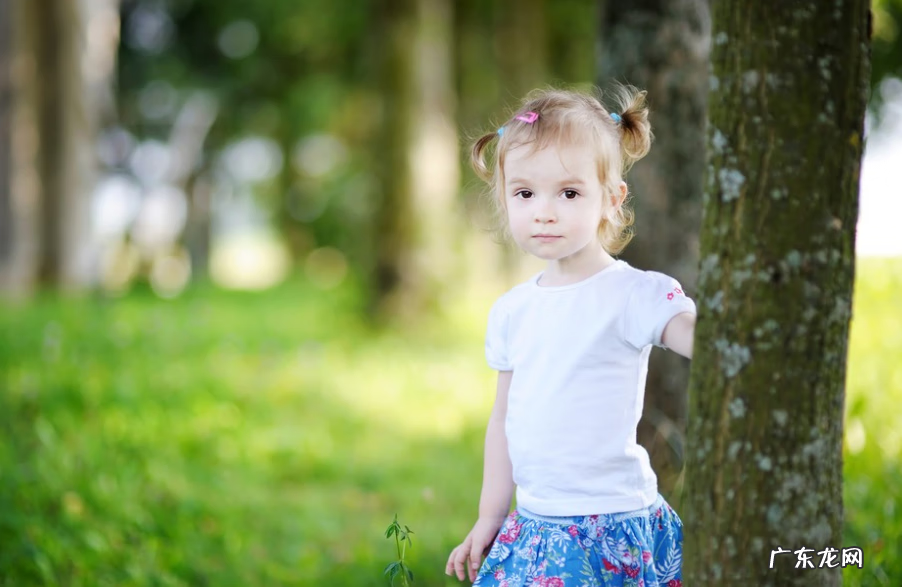 公司取名字大全免费查询 取名字大全免费查询