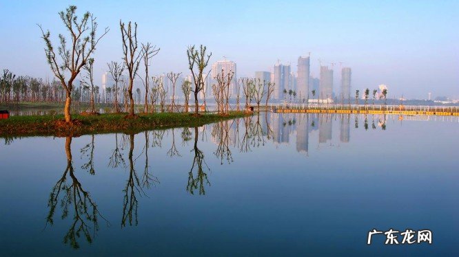 龙子湖区下辖街道一览 安徽省龙子湖区是哪个市