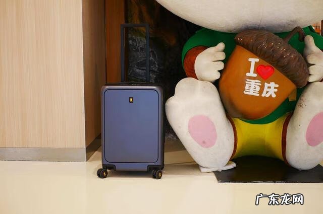 拉杆箱买什么颜色好风水 行李箱什么颜色好风水