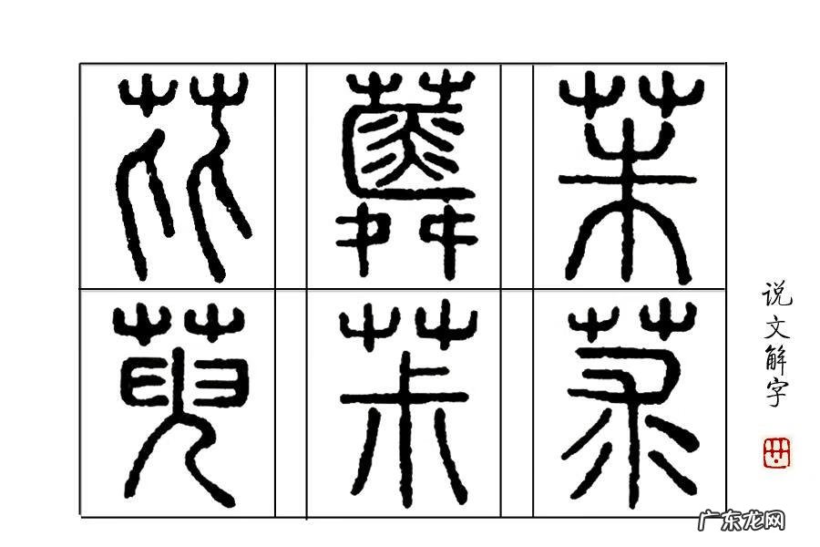 茱萸是一种什么 茱萸怎么读什么意思