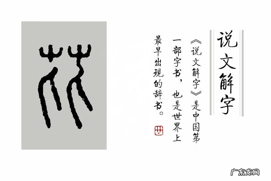 茱萸是一种什么 茱萸怎么读什么意思