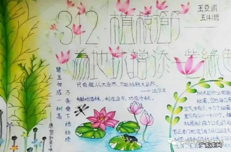 简约黑板报版面设计图 黑板报版面设计图大全