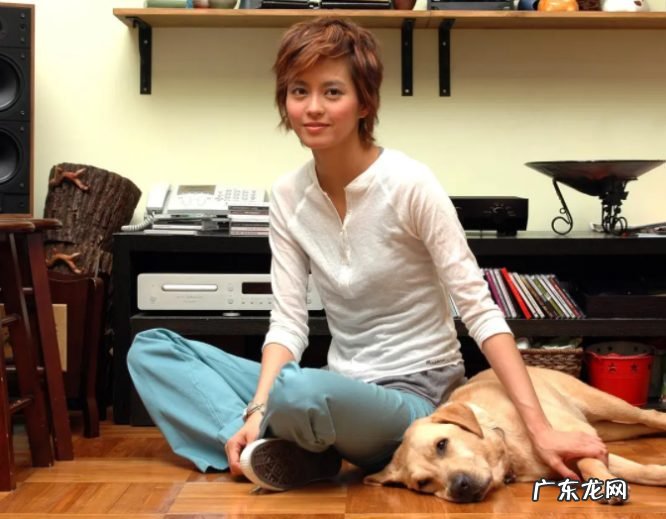 梁咏琪的演艺经历及感情生活 歌手梁咏琪个人资料简介