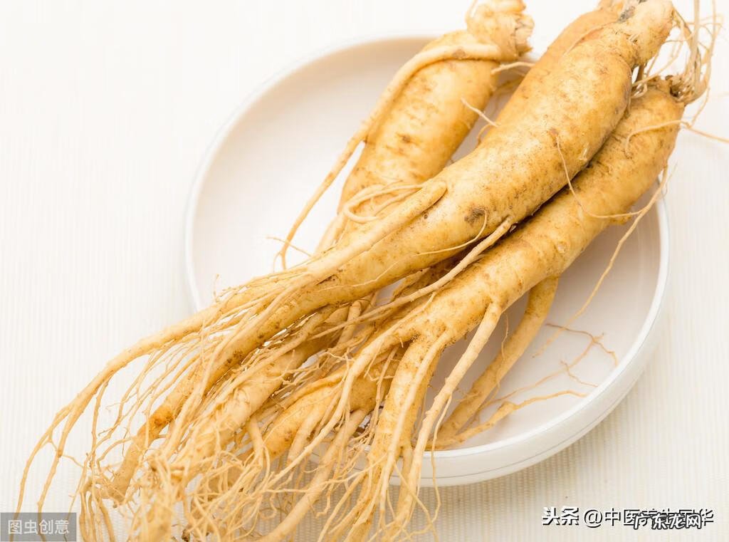 补气补血吃人参好还是红参好 红参与高丽参的区别?