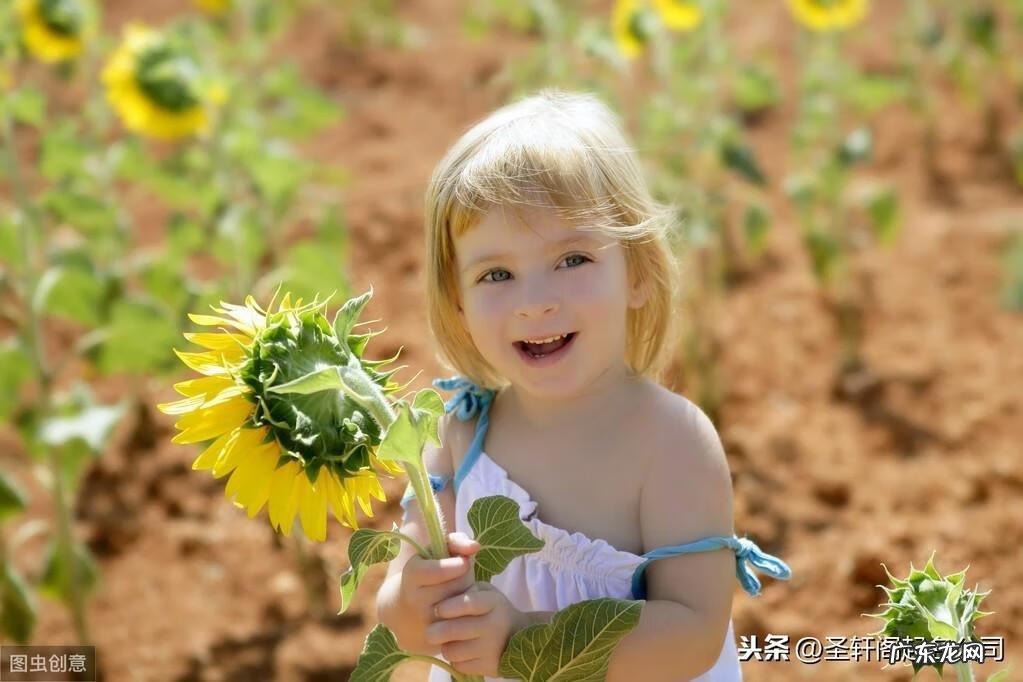 木字旁的字有什么 木字旁的字有哪些字旁的字