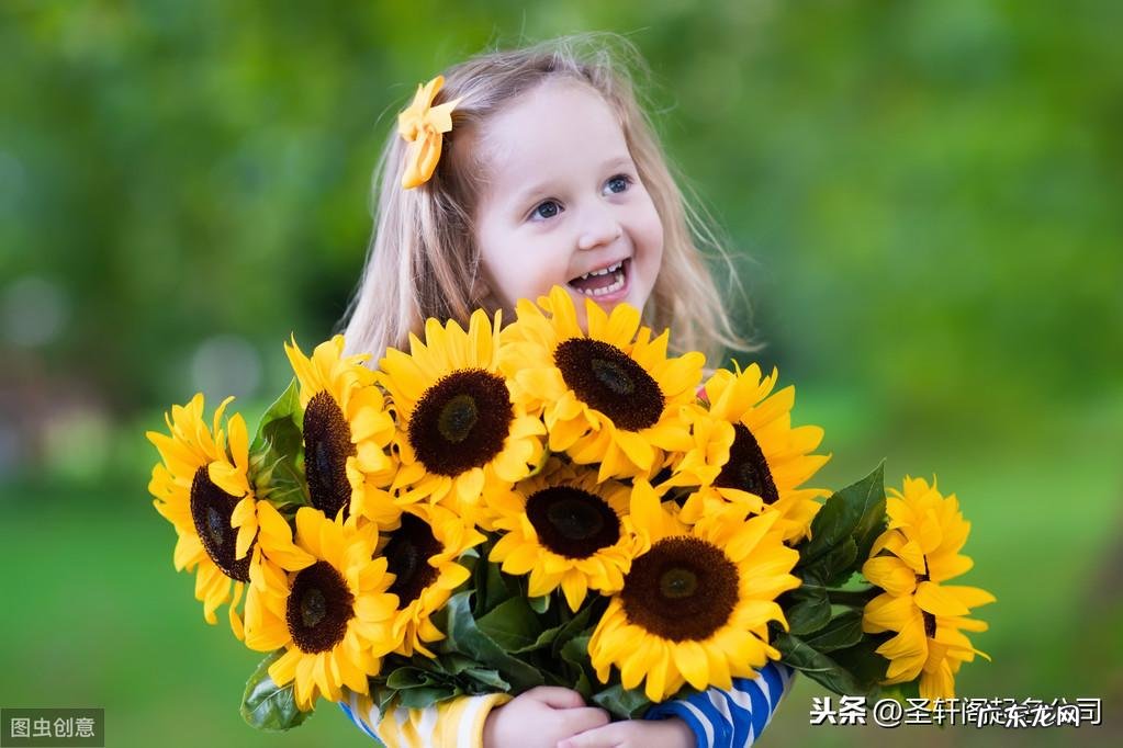 木字旁的字有什么 木字旁的字有哪些字旁的字