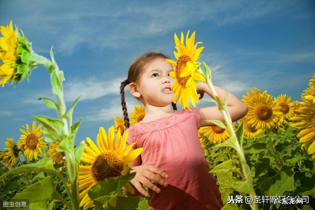 木字旁的字有什么 木字旁的字有哪些字旁的字