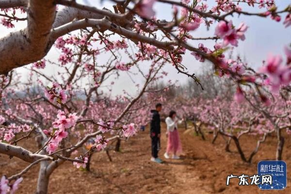 上坟和踏青有什么区别 清明节为什么要踏青呢