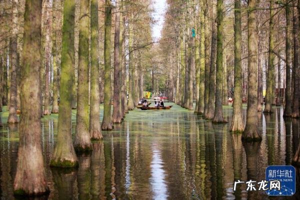 上坟和踏青有什么区别 清明节为什么要踏青呢