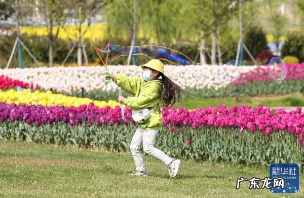 上坟和踏青有什么区别 清明节为什么要踏青呢
