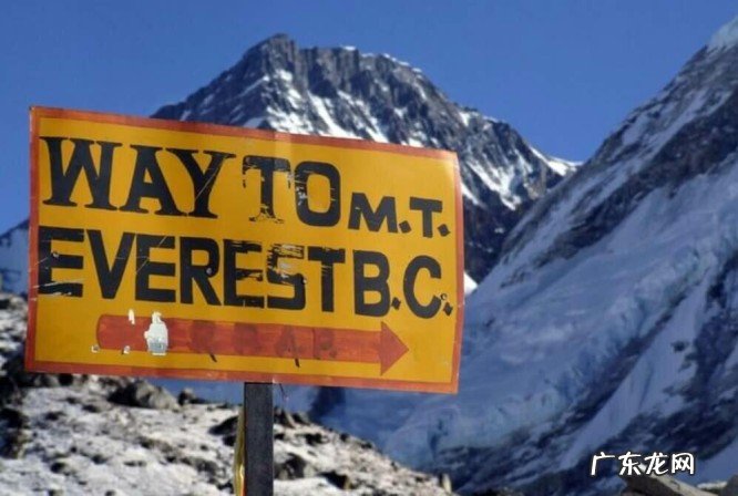 珠穆朗玛峰上有动物吗?盘点珠穆朗玛峰上生长着什么植物