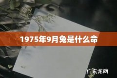 1975年9月兔是什么命