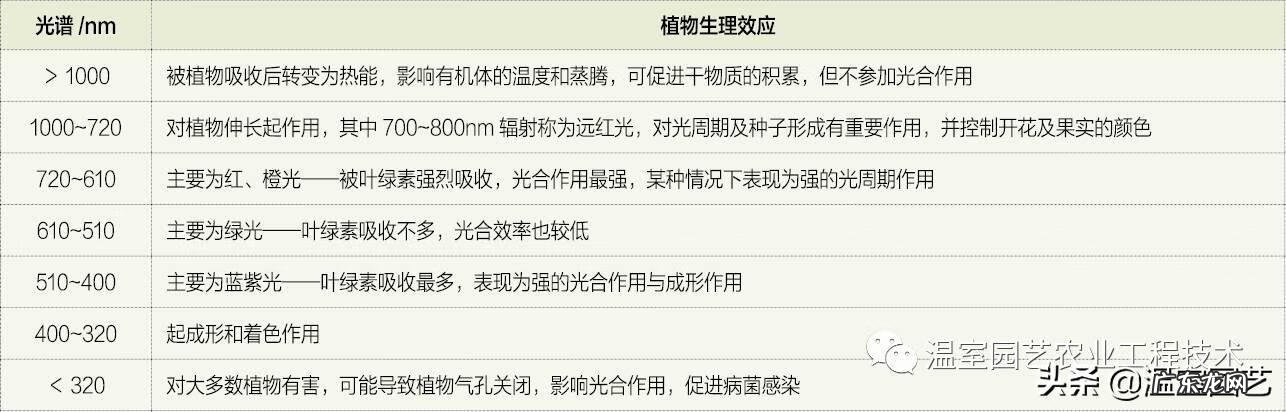 植物的光合作用是什么