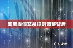 淘宝虚假交易规则调整背后