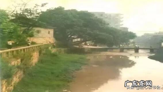 养牛场的风水怎么看 丰禾养殖场风水怎样啊