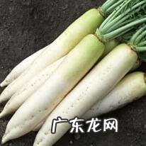 咳嗽有痰怎么治最有效的偏方秋季大人