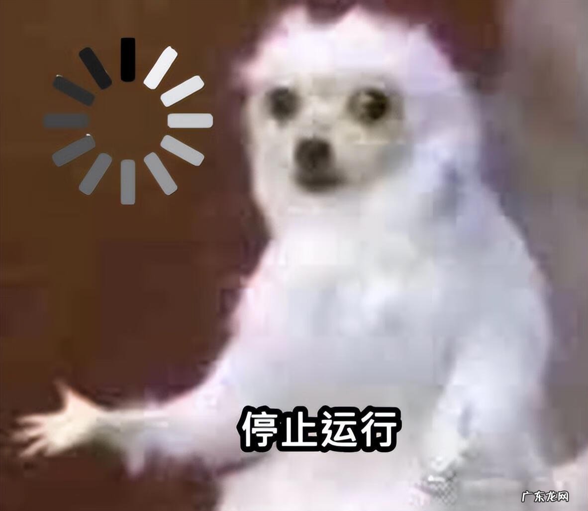 手机sd卡分区教程 手机SD卡分区