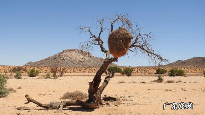 最大的10个沙漠遍及世界七大洲 世界十大沙漠排行榜