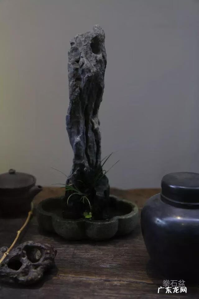 菖蒲放在什么位置风水 风水中的菖蒲是哪种的