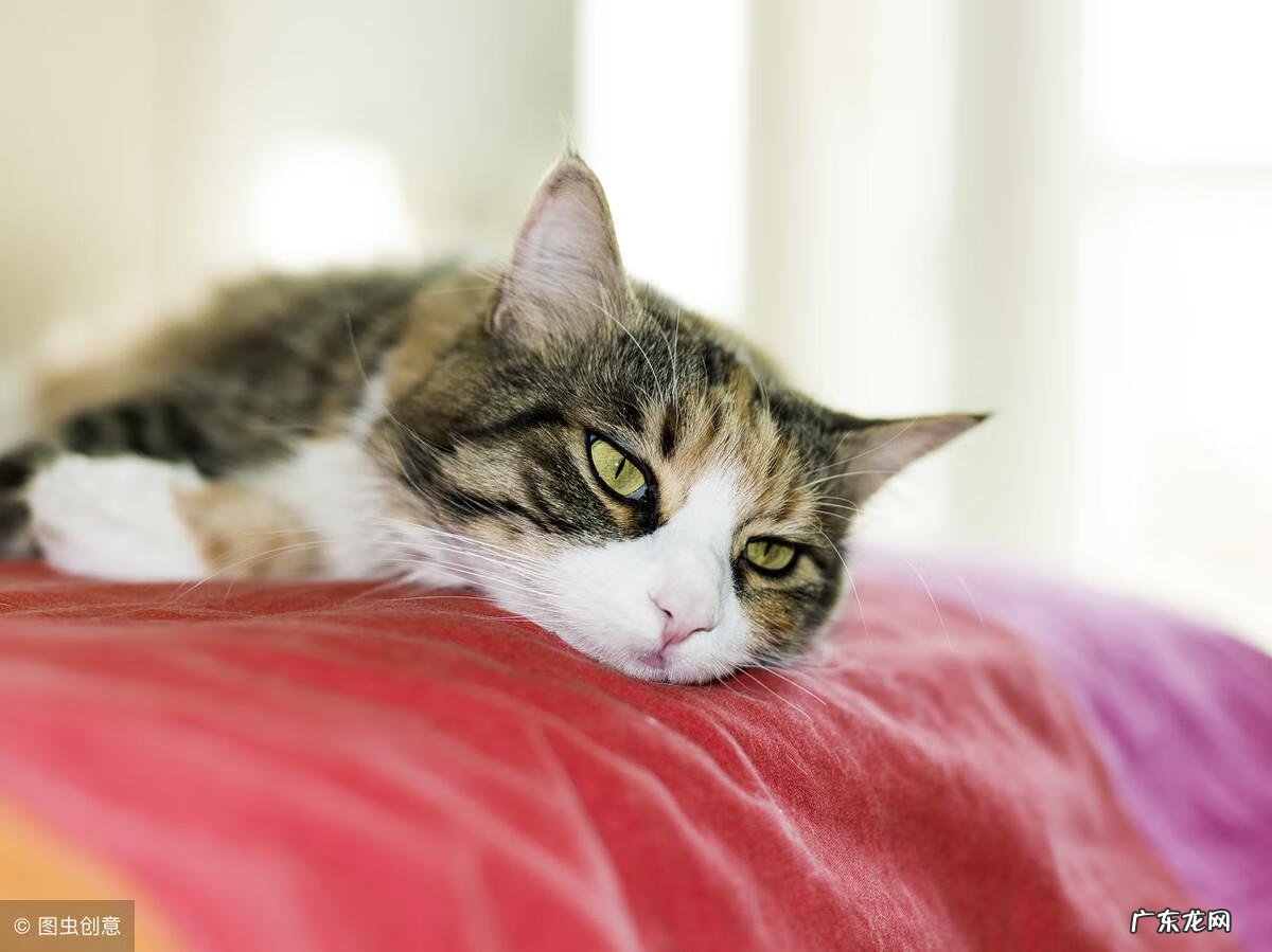 怎样测试记忆力 记忆力测试问题