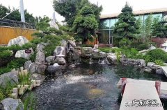 家里做鱼池有什么讲究 家庭风水鱼池深度多少
