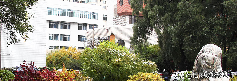 青海大学各省录取分数线 青海大学 录取分数线
