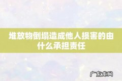 堆放物倒塌造成他人损害的由什么承担责任