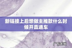 新链接上后想做主推款什么时候开直通车