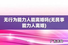 无民事能力人离婚 无行为能力人能离婚吗