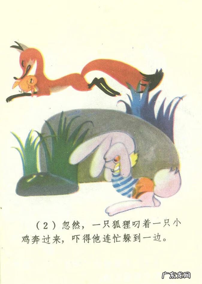 小白兔图片高清图片 小白兔图片彩色