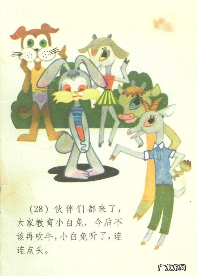 小白兔图片高清图片 小白兔图片彩色
