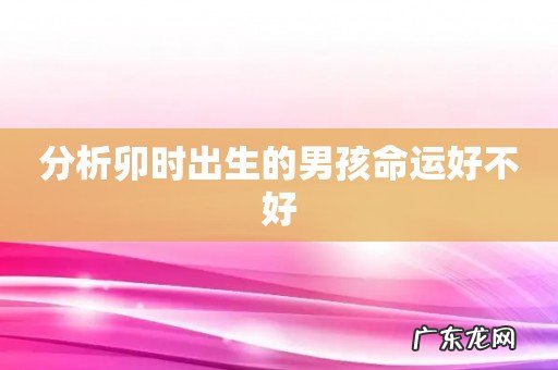 分析卯时出生的男孩命运好不好