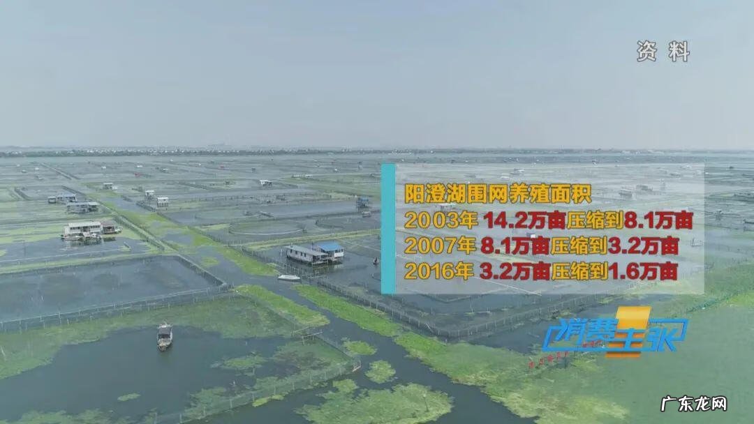 云南饵块粑粑怎么做好吃 阳澄湖大闸蟹价格差别怎么那么大