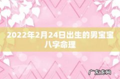 2022年2月24日出生的男宝宝八字命理