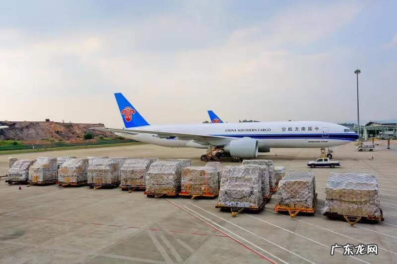 新的快运有哪些 快运公司的标准产品