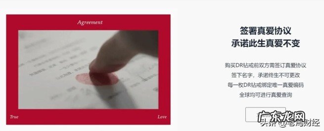 带你了解张国涛白手起家的创业历程 开封80后首富张国涛简历