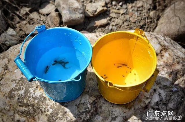 蓟县翠屏山 蓟县翠屏湖风景区怎么样