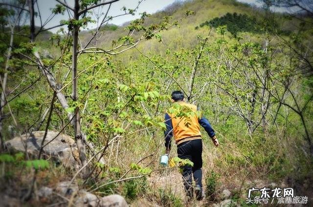 蓟县翠屏山 蓟县翠屏湖风景区怎么样