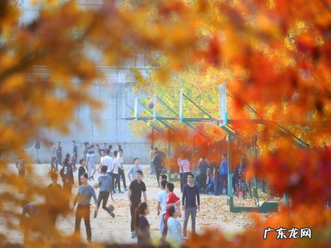 带你了解南华大学的发展历程 中国南华大学在哪里个城市