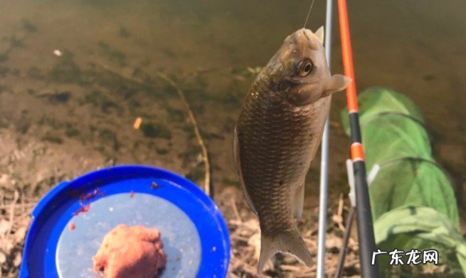 目前什么样的鱼竿好用？自己用起来舒服才是好鱼竿