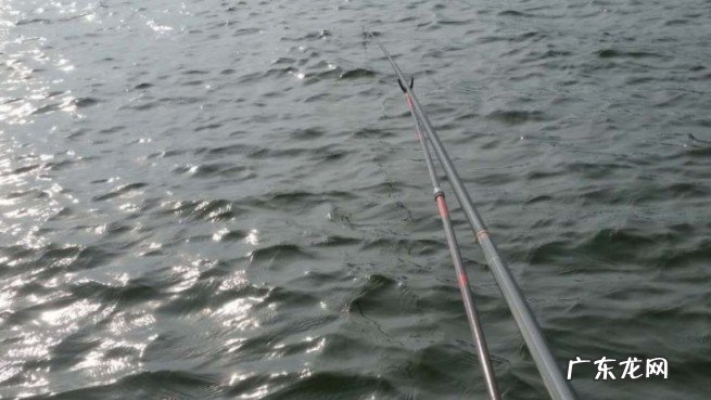 目前什么样的鱼竿好用？自己用起来舒服才是好鱼竿