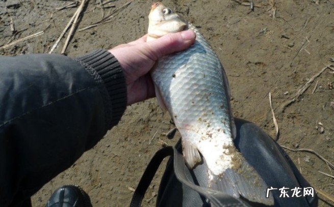 目前什么样的鱼竿好用?自己用起来舒服才是好鱼竿