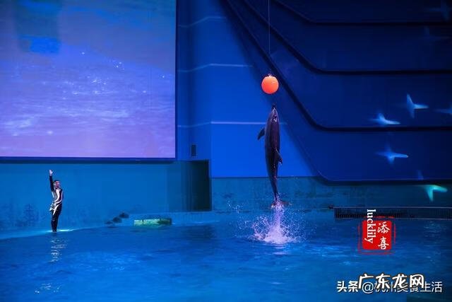 南昌看风水最厉害的大师 南昌哪个区风水最好